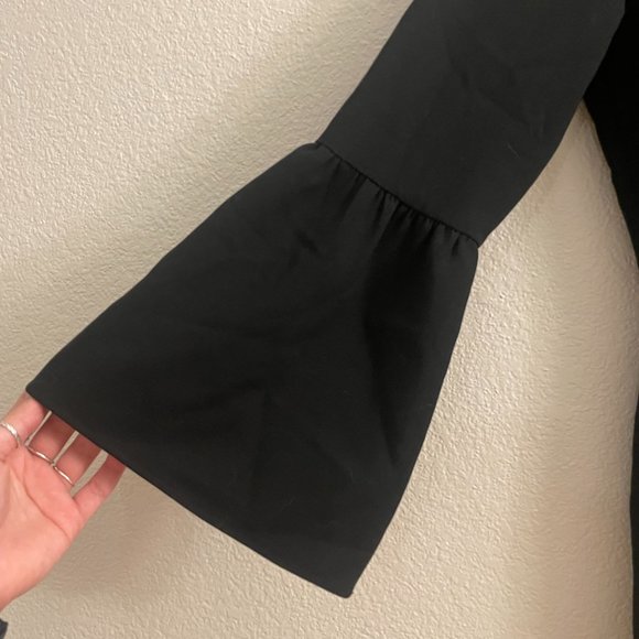French Connection • Black Dress • Puff End Sleeves - Picture 3 of 9